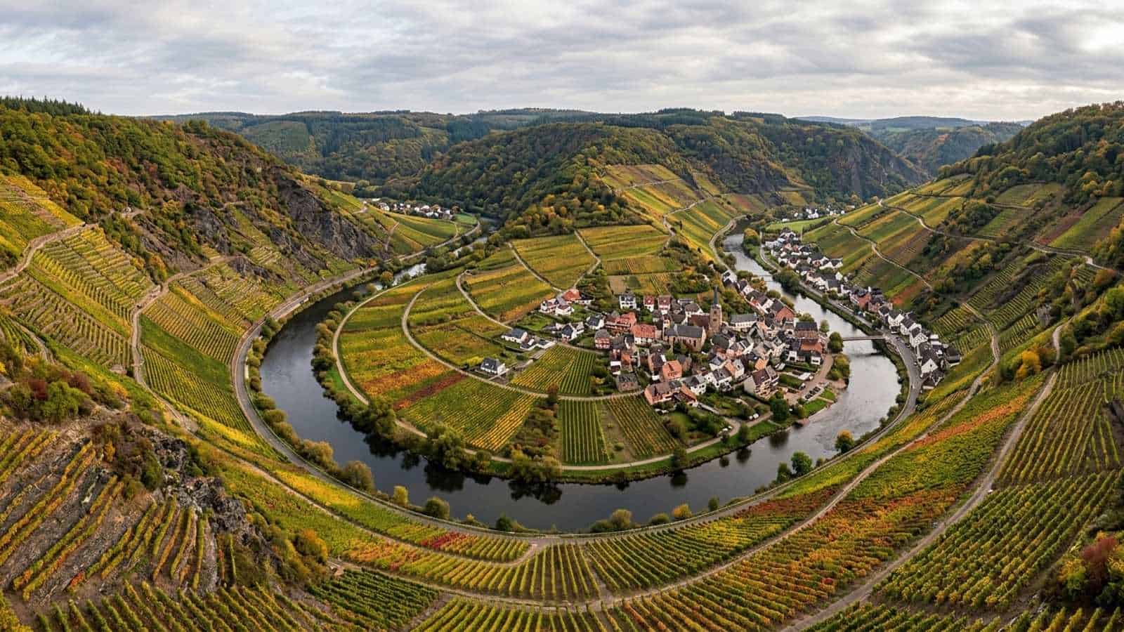 KI-generiertes Foto der Weinberge in der Region Ahr
